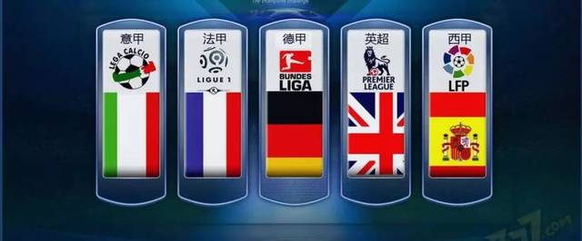 项目不仅引 项目不仅引